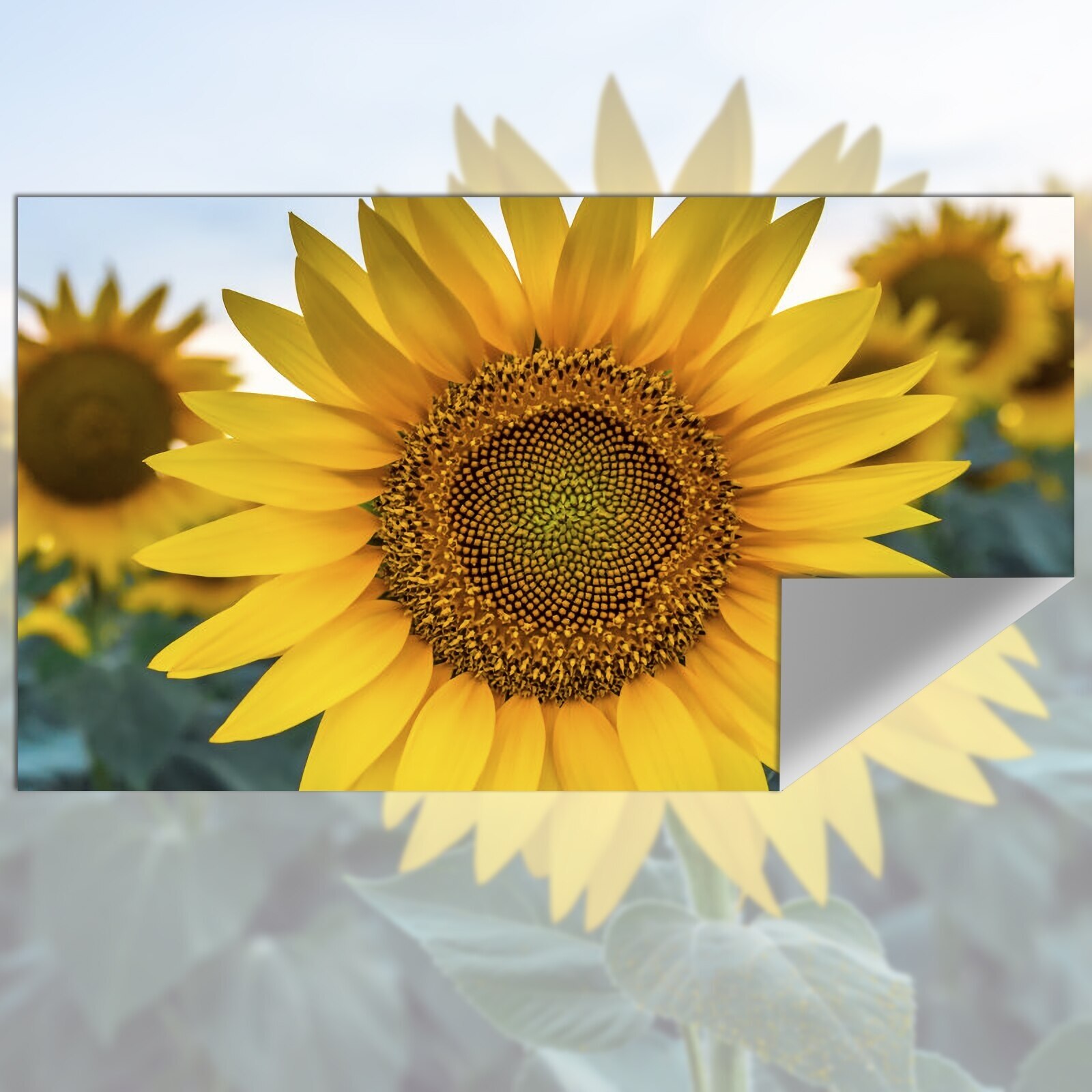 Projection Screen Reflective F – Slide Film 120 recenzja i cena